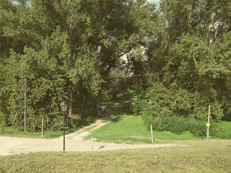 verso felonica 678.JPG